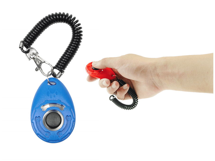 clicker para perros