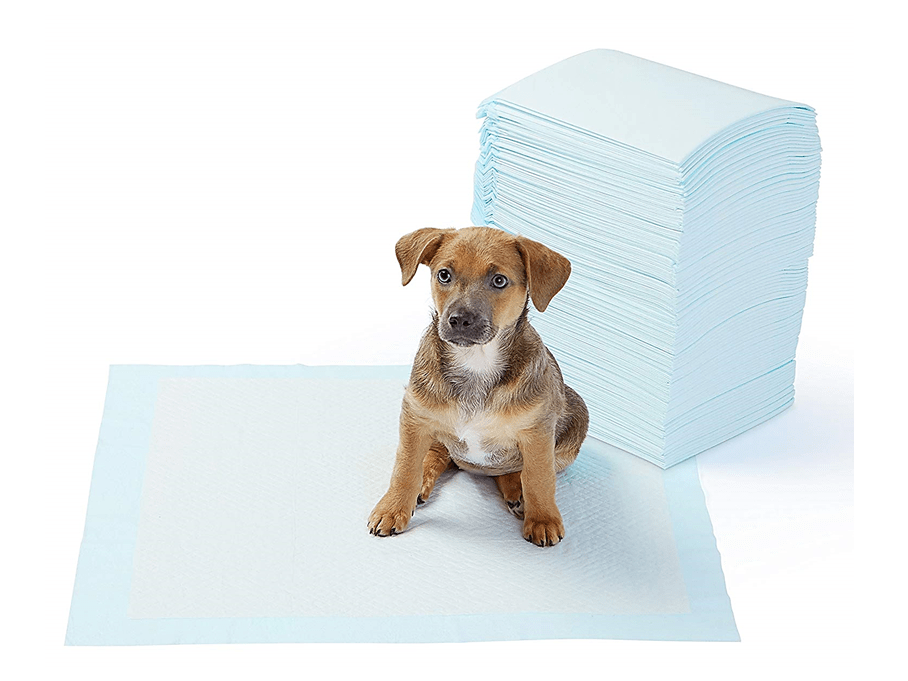 empapadores para perros