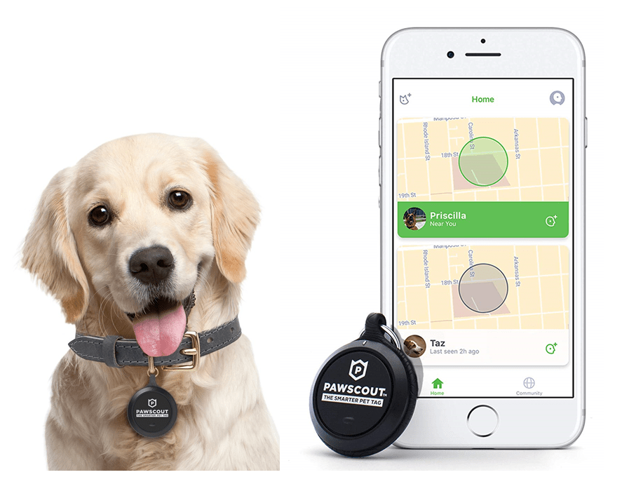 gps para perros