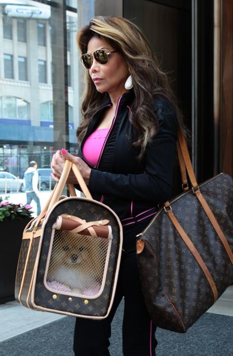 Bolso para Perros Louis Vuitton