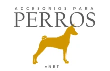 Accesorios para Perros